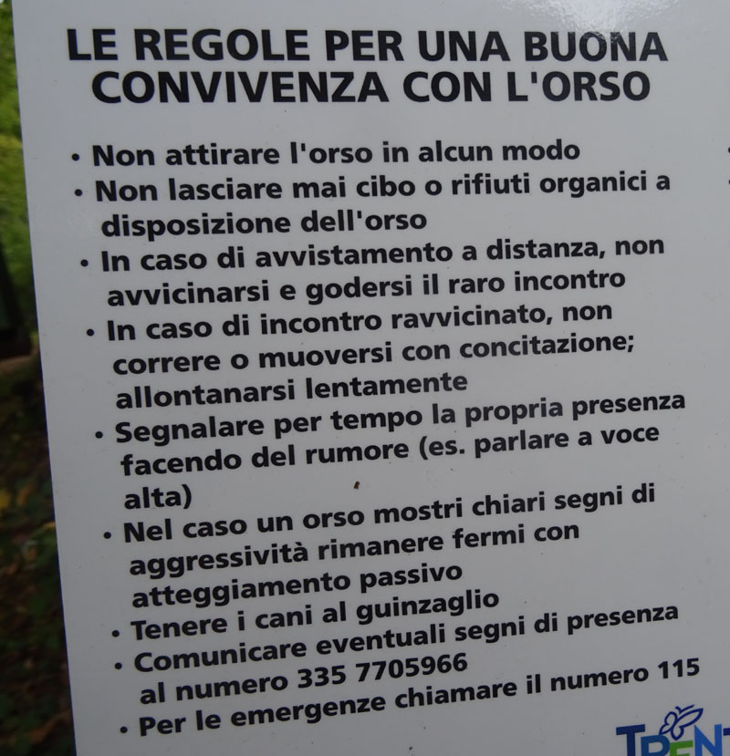 cartelli presenza orso - Ursus arctos